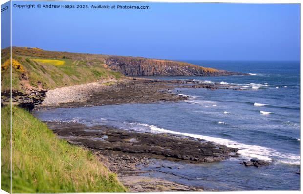 Northumberland rugged coastline. Canvas Print by Andrew Heaps