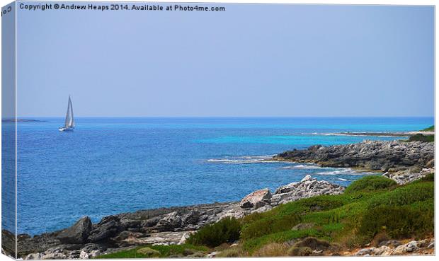  Coastal View cliff path to turquoise sea Canvas Print by Andrew Heaps