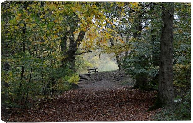 Country Park Bench  Canvas Print by Andrew Heaps