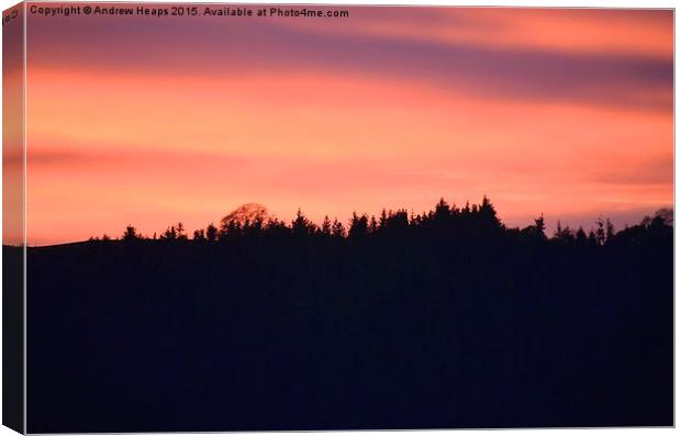 Evening Sunset Canvas Print by Andrew Heaps