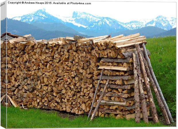  Austrian Wood Pile Canvas Print by Andrew Heaps