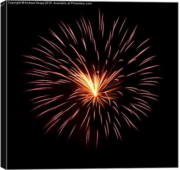  Firework Canvas Print by Andrew Heaps