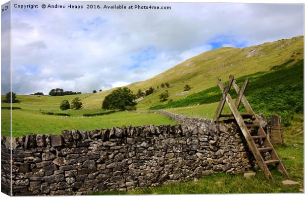 View at Dovedale hillside. Canvas Print by Andrew Heaps