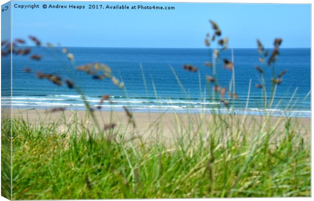 Tranquil Beach scene Canvas Print by Andrew Heaps