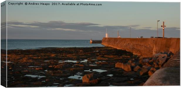 Seahouses harbour sunset song on wall. Canvas Print by Andrew Heaps