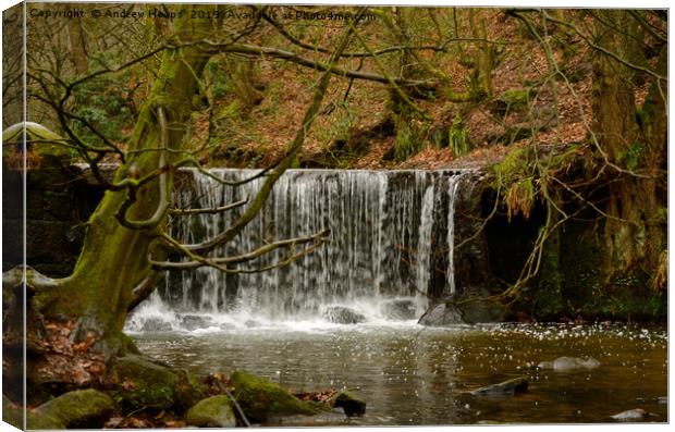 Small waterfall in colour Canvas Print by Andrew Heaps