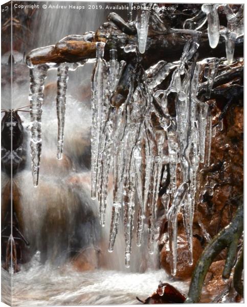 Natures Dripping Jewels Canvas Print by Andrew Heaps