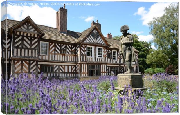 Napoleon statue stone with lavender Canvas Print by Andrew Heaps