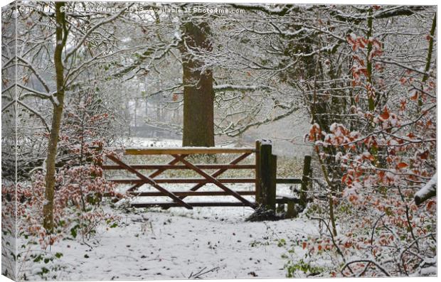 Winterly scene with snowy gate and style. Canvas Print by Andrew Heaps
