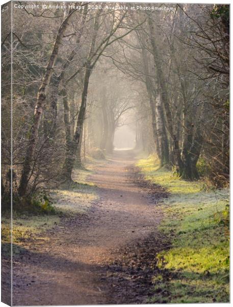 Enchanting pathway through a tunnel of trees along Canvas Print by Andrew Heaps