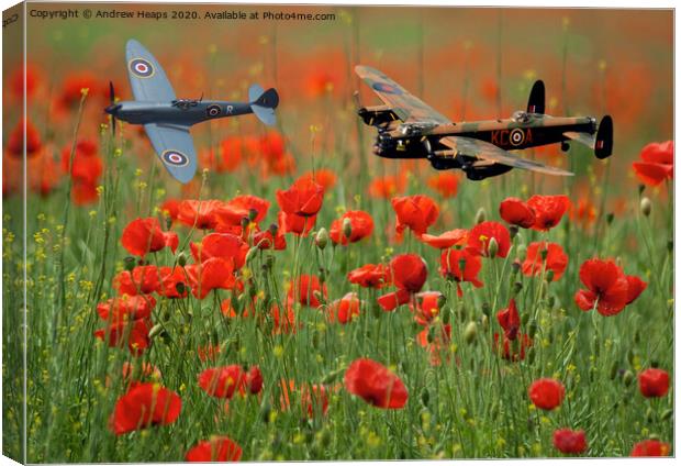 Spitfire and Lancaster bomber fly by over poppy fi Canvas Print by Andrew Heaps