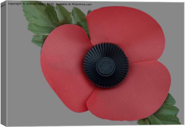 A single poppy a symbol of remembrance .  Canvas Print by Andrew Heaps