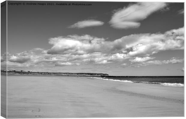 Beach scene with cloudy sky in Northumberland  Canvas Print by Andrew Heaps