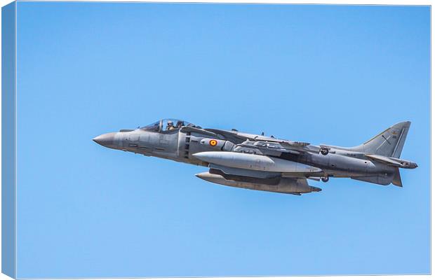  Harrier Canvas Print by Peter Kelly