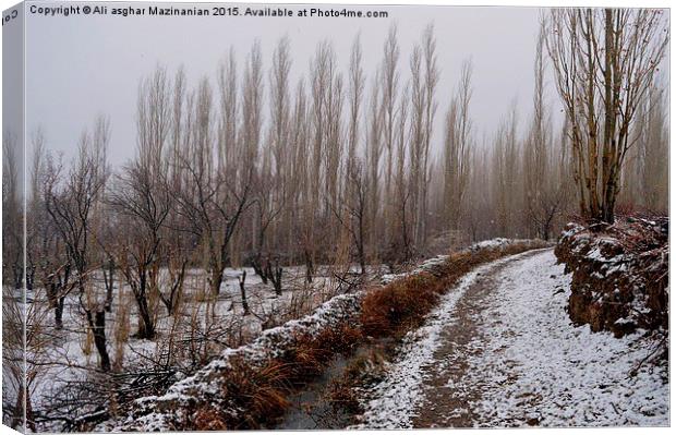  The first snow, Canvas Print by Ali asghar Mazinanian