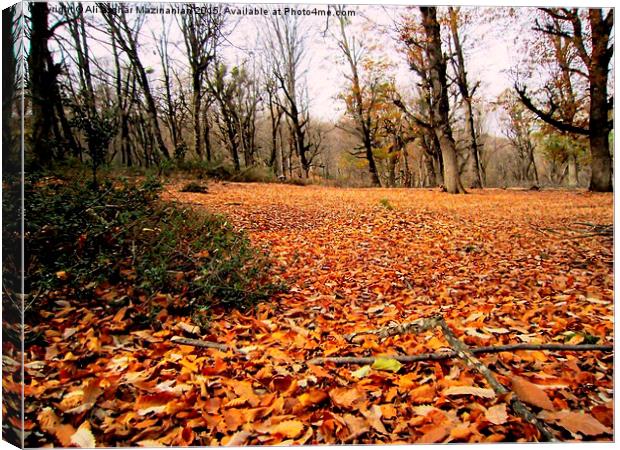 The beauties of Autumn in OLANG jungle 6, Canvas Print by Ali asghar Mazinanian