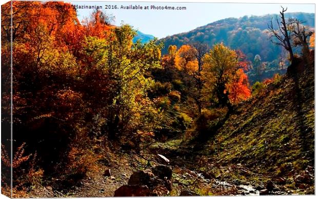 A nice view of Autumn in jungle, Canvas Print by Ali asghar Mazinanian