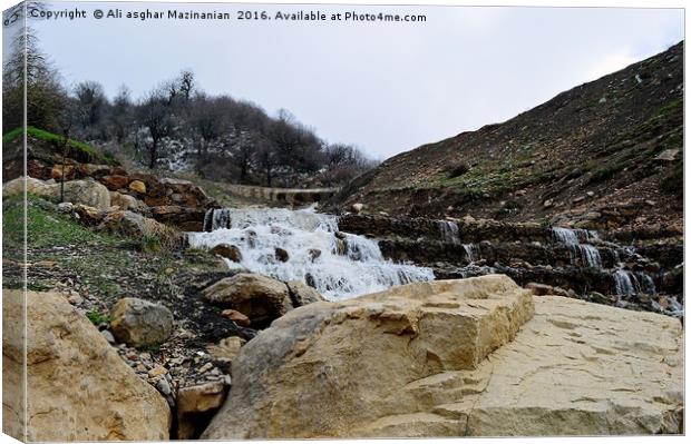 Stream in jungle, Canvas Print by Ali asghar Mazinanian