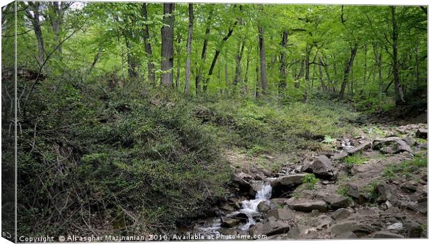 A small river covered with tall trees, Canvas Print by Ali asghar Mazinanian