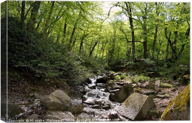 A quiet place in jungle, Canvas Print by Ali asghar Mazinanian