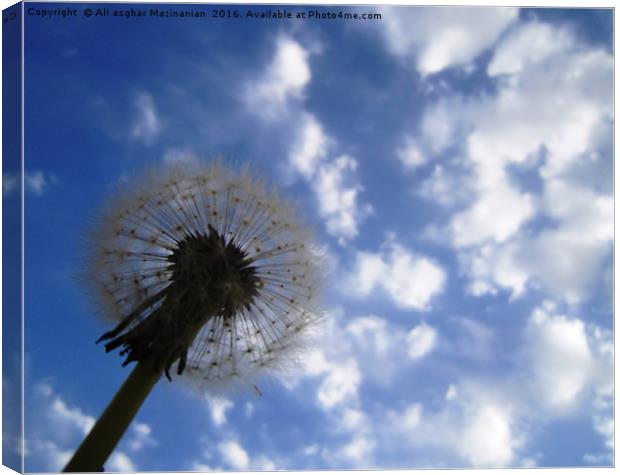 Dandelion in the cloudy sky, Canvas Print by Ali asghar Mazinanian