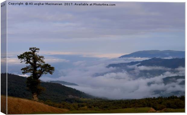 A lone tree and dense fogs, Canvas Print by Ali asghar Mazinanian