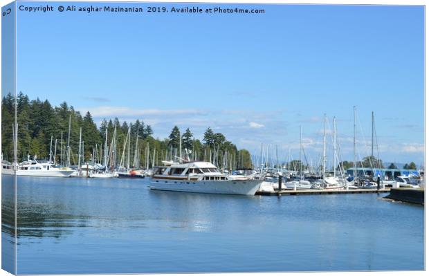 A nice place in Stanley Park,Canada, Canvas Print by Ali asghar Mazinanian