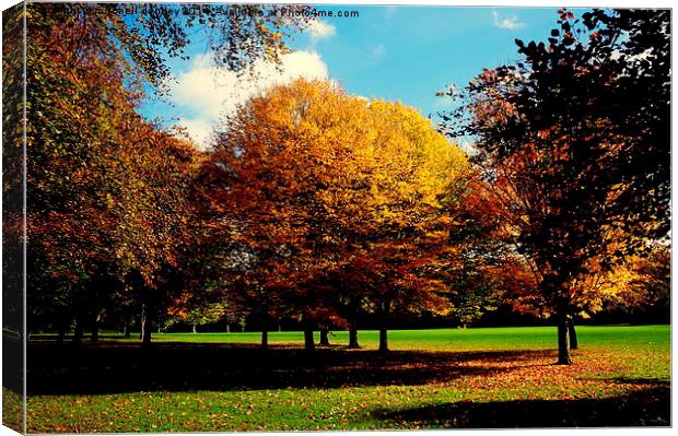  Autumn Glory Canvas Print by mitchell denney