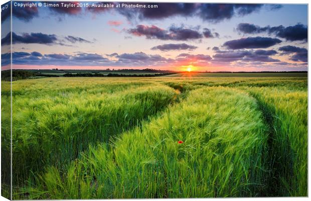 Anmer Sunset, Norfolk Canvas Print by Simon Taylor