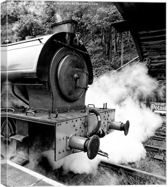 Steam Engine 3698 ‘Repulse’ Lakeside & Haverthwait Canvas Print by Mike Marsden