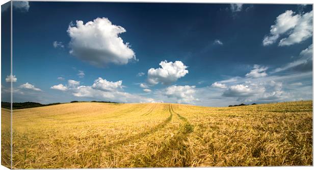 Wheat field! Canvas Print by Inguna Plume