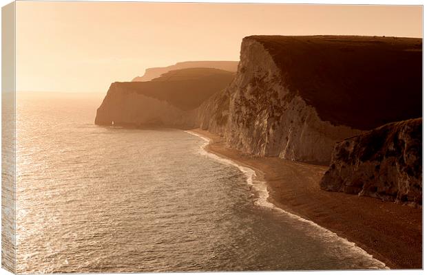  Jurassic Coastline Canvas Print by Inguna Plume