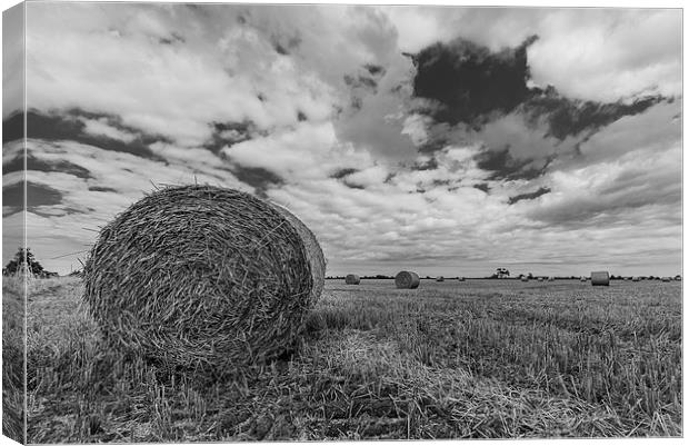  Bales Canvas Print by Lee Wilson