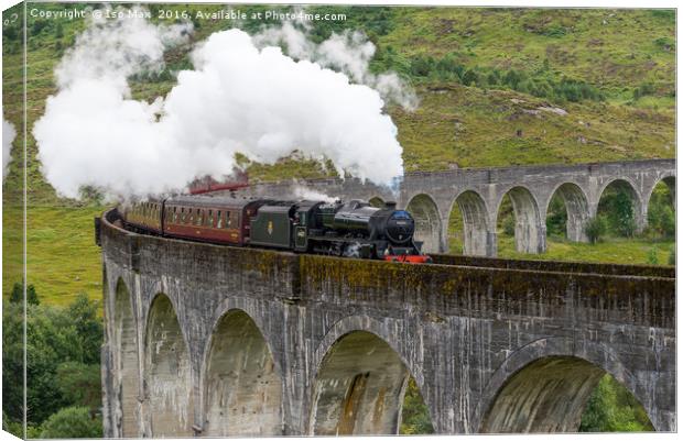 The Jacobite, Glenfinnan Viaduct, Scotland Canvas Print by The Tog