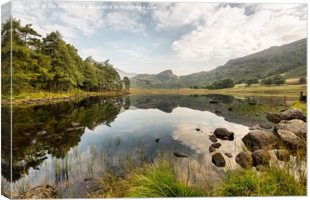 Blea Tarn, Lake District Canvas Print by The Tog