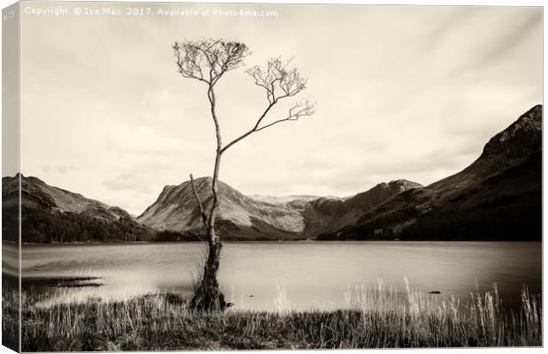 Buttermere Canvas Print by The Tog