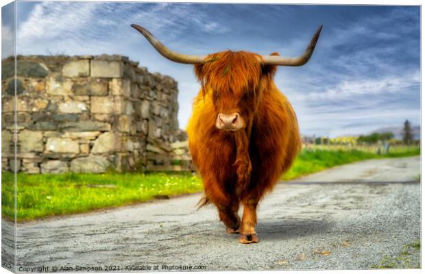On The Moove Canvas Print by Alan Simpson