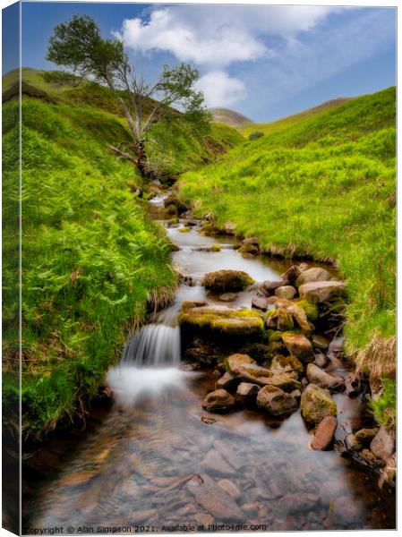 Babbling Brook Canvas Print by Alan Simpson