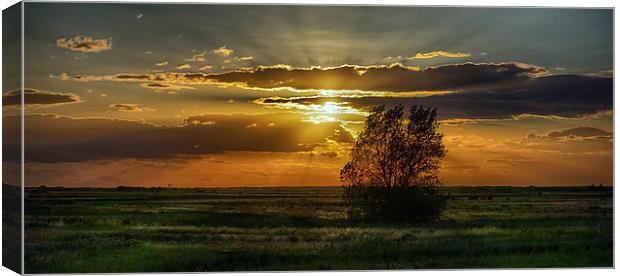  Thornham Fields Sunset Canvas Print by Alan Simpson