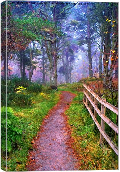  Morangie Forest, Scotland. Canvas Print by Alan Simpson