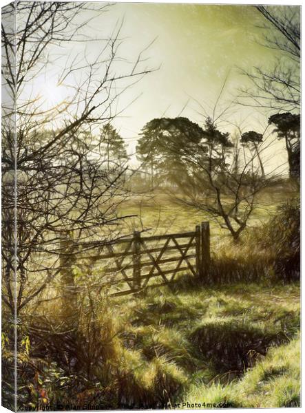 Gypsy Lane Canvas Print by Alan Simpson