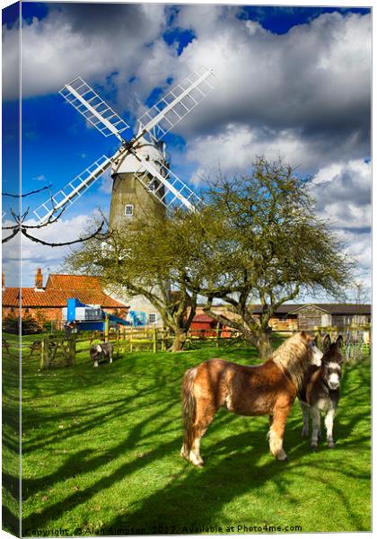 Great Bircham Windmill Canvas Print by Alan Simpson