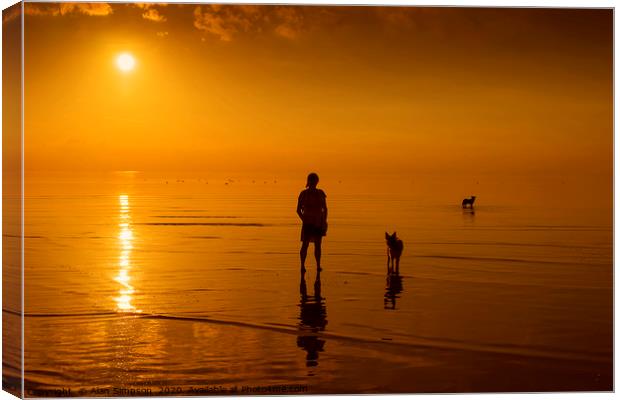 Beach Sunset with the Dogs Canvas Print by Alan Simpson