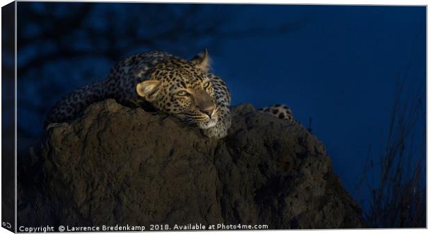 Leopard on Anthill at Sunset Canvas Print by Lawrence Bredenkamp