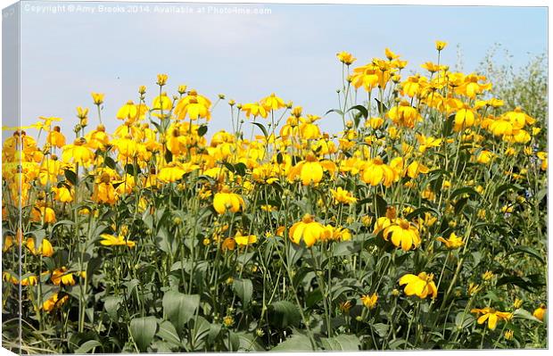 Bright & Yellow Canvas Print by Amy Brooks