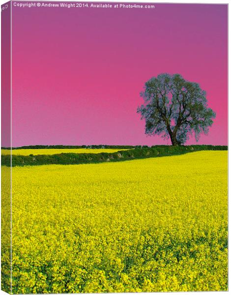 Portrait Of An Oak Tree ( Pink Version ) Canvas Print by Andrew Wright