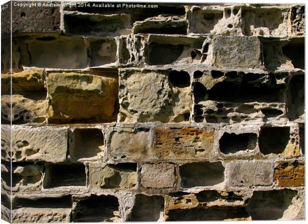  Another Brick In The Wall Canvas Print by Andrew Wright