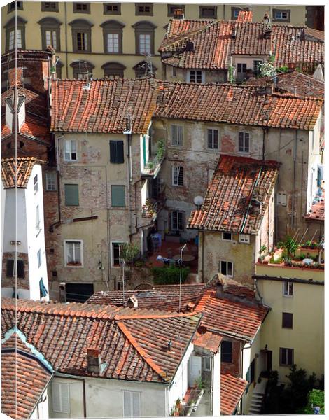  Lucca Roof Tiles Canvas Print by Andrew Wright