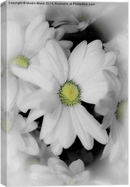 flower for you  Canvas Print by Martin Webb