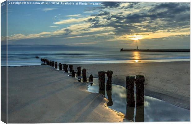  Morning light Canvas Print by Malcolm Wilson